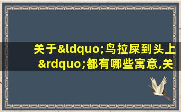 关于“鸟拉屎到头上”都有哪些寓意,关于“鸟拉 🌿 屎到头上”都有哪些寓意 🐋